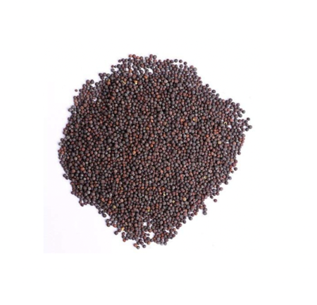 Picture of PG Mustard seeds 1kg