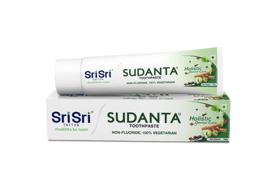 Picture of Sri Sri Tatva Sudanta Toothpaste 100 gm