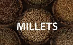 Picture for category Millets